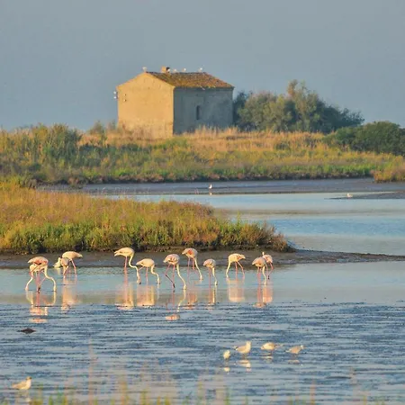 Calabria G41 Lido degli Scacchi