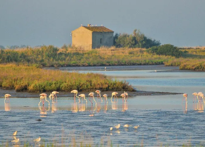 Calabria G41 Lido degli Scacchi